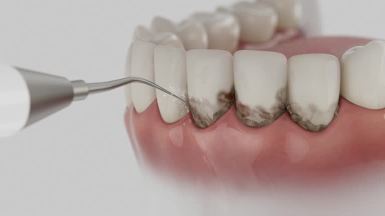Reliable Dental contractor in Belle Haven, VA by Dentist Open Now